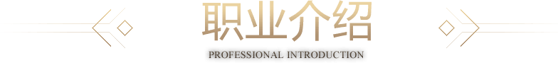 职业介绍 professional introduction